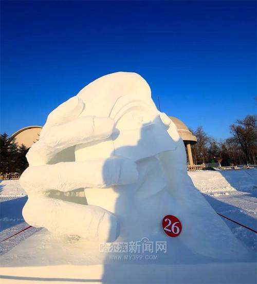 开云体育APP带来滑雪比赛直播，官方呈现畅享冰雪激情