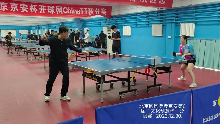 乒乓球比赛回顾尽在开云体育官方网站,独特呈现,乒乓球开球网官网