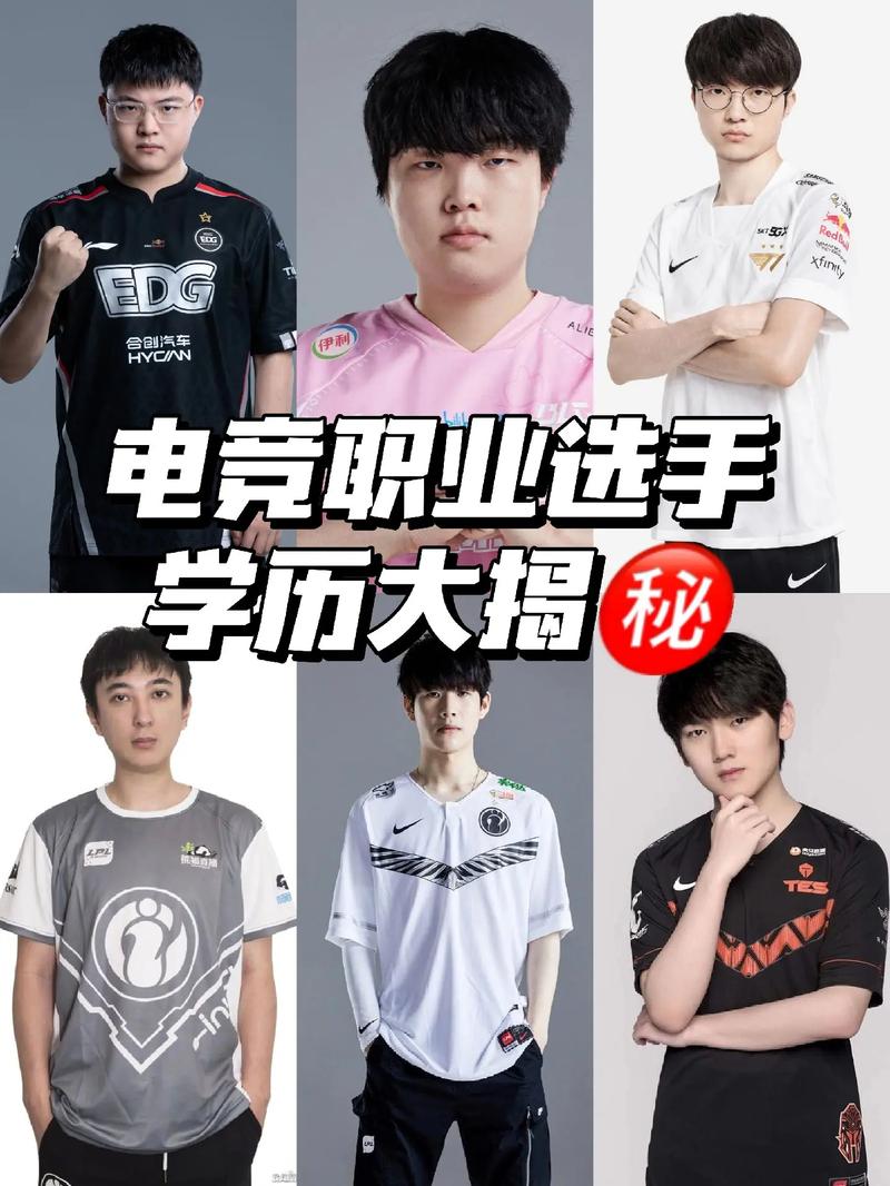 开云体育：电竞职业选手退役后都做了什么？，电竞职业选手退役后有哪些