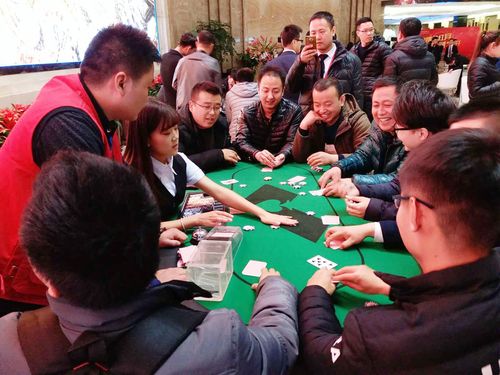 在开云体育观察百家乐房间分级:初级场、中级场与VIP厅的下注门槛差异